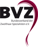 Logo BVZ